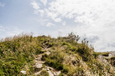 Wideki 'den Bukowe Berdo ve Tarnica' ya giden yol Polonya 'daki Bieszczady Dağları' nda Woosate 'a çıkıyor.