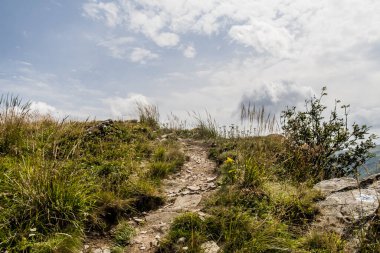 Wideki 'den Bukowe Berdo ve Tarnica' ya giden yol Polonya 'daki Bieszczady Dağları' nda Woosate 'a çıkıyor.