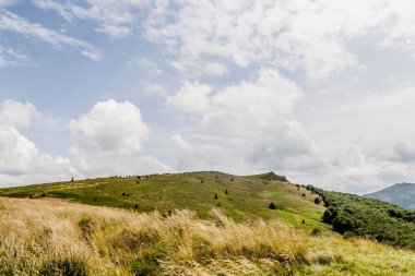Wideki 'den Bukowe Berdo ve Tarnica' ya giden yol Polonya 'daki Bieszczady Dağları' nda Woosate 'a çıkıyor.