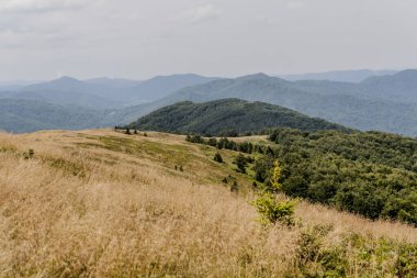 Wideki 'den Bukowe Berdo ve Tarnica' ya giden yol Polonya 'daki Bieszczady Dağları' nda Woosate 'a çıkıyor.
