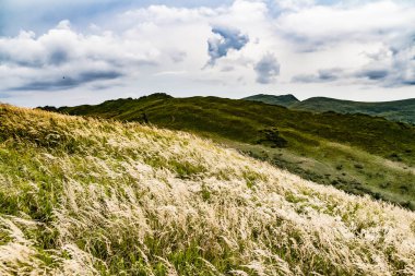 Wideki 'den Bukowe Berdo ve Tarnica' ya giden yol Polonya 'daki Bieszczady Dağları' nda Woosate 'a çıkıyor.