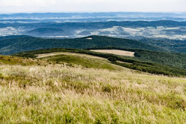 Wideki 'den Bukowe Berdo ve Tarnica' ya giden yol Polonya 'daki Bieszczady Dağları' nda Woosate 'a çıkıyor.