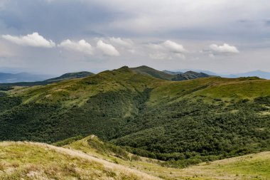 Wideki 'den Bukowe Berdo ve Tarnica' ya giden yol Polonya 'daki Bieszczady Dağları' nda Woosate 'a çıkıyor.