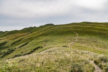 Wideki 'den Bukowe Berdo ve Tarnica' ya giden yol Polonya 'daki Bieszczady Dağları' nda Woosate 'a çıkıyor.