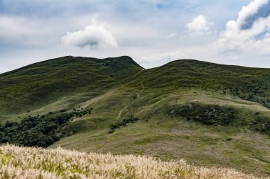 Wideki 'den Bukowe Berdo ve Tarnica' ya giden yol Polonya 'daki Bieszczady Dağları' nda Woosate 'a çıkıyor.