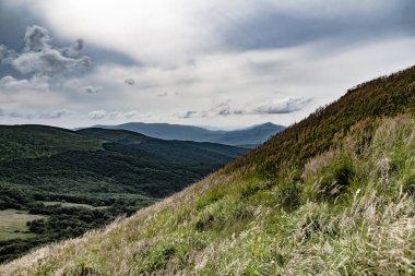 Wideki 'den Bukowe Berdo ve Tarnica' ya giden yol Polonya 'daki Bieszczady Dağları' nda Woosate 'a çıkıyor.