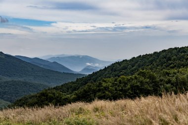 Wideki 'den Bukowe Berdo ve Tarnica' ya giden yol Polonya 'daki Bieszczady Dağları' nda Woosate 'a çıkıyor.