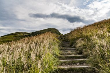 Wideki 'den Bukowe Berdo ve Tarnica' ya giden yol Polonya 'daki Bieszczady Dağları' nda Woosate 'a çıkıyor.