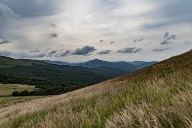 Wideki 'den Bukowe Berdo ve Tarnica' ya giden yol Polonya 'daki Bieszczady Dağları' nda Woosate 'a çıkıyor.
