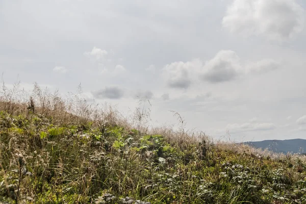 Estrada Wideki Através Bukowe Berdo Tarnica Para Woosate Bieszczady Montanhas — Fotografia de Stock