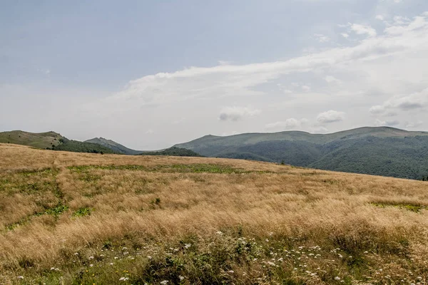 Wideki 'den Bukowe Berdo ve Tarnica' ya giden yol Polonya 'daki Bieszczady Dağları' nda Woosate 'a çıkıyor.