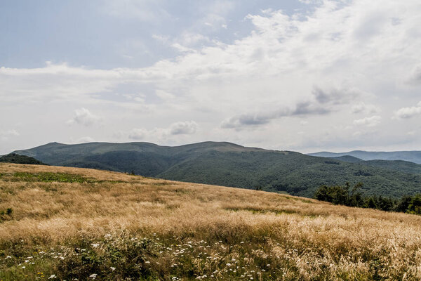 Дорога из Видеки через Букове-Бердо и Тарницу в Вусате в горах Бещады в Польше
