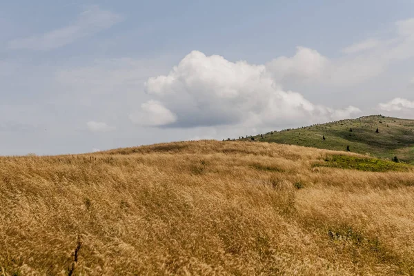 Wideki 'den Bukowe Berdo ve Tarnica' ya giden yol Polonya 'daki Bieszczady Dağları' nda Woosate 'a çıkıyor.
