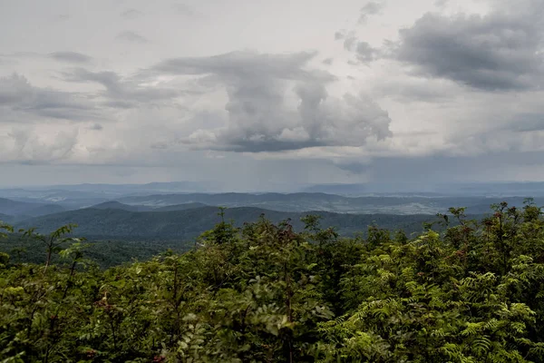 Estrada Wideki Através Bukowe Berdo Tarnica Para Woosate Bieszczady Montanhas — Fotografia de Stock