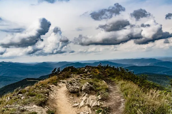 Wideki 'den Bukowe Berdo ve Tarnica' ya giden yol Polonya 'daki Bieszczady Dağları' nda Woosate 'a çıkıyor.