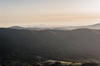 Polonya 'daki Bieszczady Dağlarında Carynska Polonyna