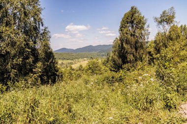 San Nehri 'ndeki Kryve - Bieszczady Dağları' ndaki eski bir köy - 1947 yılında komünist Polonyalı yetkililer tarafından yerlerinden edildi..