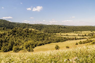 San Nehri 'ndeki Kryve - Bieszczady Dağları' ndaki eski bir köy - 1947 yılında komünist Polonyalı yetkililer tarafından yerlerinden edildi..