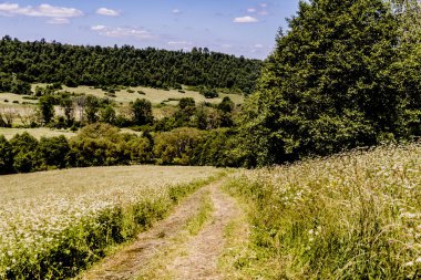 San Nehri 'ndeki Kryve - Bieszczady Dağları' ndaki eski bir köy - 1947 yılında komünist Polonyalı yetkililer tarafından yerlerinden edildi..