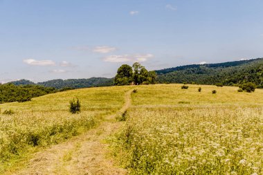 San Nehri 'ndeki Kryve - Bieszczady Dağları' ndaki eski bir köy - 1947 yılında komünist Polonyalı yetkililer tarafından yerlerinden edildi..