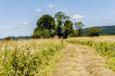San Nehri 'ndeki Kryve - Bieszczady Dağları' ndaki eski bir köy - 1947 yılında komünist Polonyalı yetkililer tarafından yerlerinden edildi..