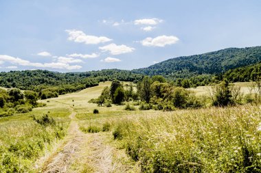 San Nehri 'ndeki Kryve - Bieszczady Dağları' ndaki eski bir köy - 1947 yılında komünist Polonyalı yetkililer tarafından yerlerinden edildi..