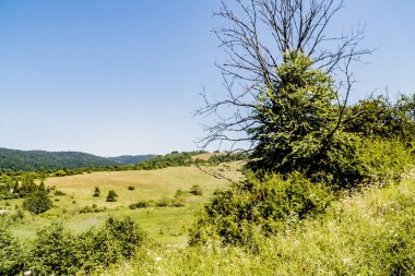 San Nehri 'ndeki Kryve - Bieszczady Dağları' ndaki eski bir köy - 1947 yılında komünist Polonyalı yetkililer tarafından yerlerinden edildi..