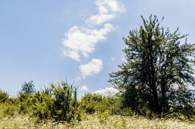 San Nehri 'ndeki Kryve - Bieszczady Dağları' ndaki eski bir köy - 1947 yılında komünist Polonyalı yetkililer tarafından yerlerinden edildi..