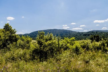 San Nehri 'ndeki Kryve - Bieszczady Dağları' ndaki eski bir köy - 1947 yılında komünist Polonyalı yetkililer tarafından yerlerinden edildi..