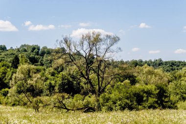 San Nehri 'ndeki Kryve - Bieszczady Dağları' ndaki eski bir köy - 1947 yılında komünist Polonyalı yetkililer tarafından yerlerinden edildi..