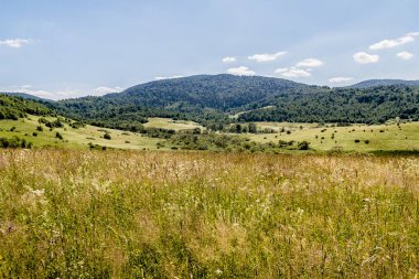 San Nehri 'ndeki Kryve - Bieszczady Dağları' ndaki eski bir köy - 1947 yılında komünist Polonyalı yetkililer tarafından yerlerinden edildi..