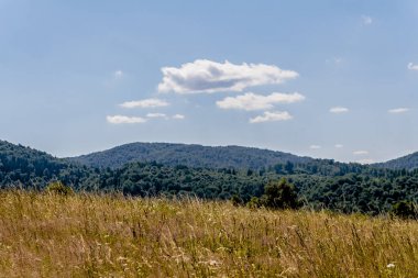 San Nehri 'ndeki Kryve - Bieszczady Dağları' ndaki eski bir köy - 1947 yılında komünist Polonyalı yetkililer tarafından yerlerinden edildi..