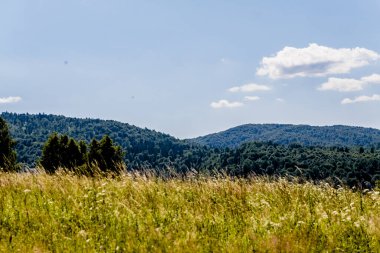 San Nehri 'ndeki Kryve - Bieszczady Dağları' ndaki eski bir köy - 1947 yılında komünist Polonyalı yetkililer tarafından yerlerinden edildi..