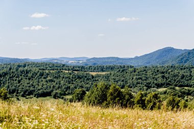 San Nehri 'ndeki Kryve - Bieszczady Dağları' ndaki eski bir köy - 1947 yılında komünist Polonyalı yetkililer tarafından yerlerinden edildi..