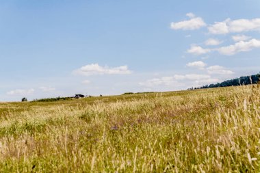 San Nehri 'ndeki Kryve - Bieszczady Dağları' ndaki eski bir köy - 1947 yılında komünist Polonyalı yetkililer tarafından yerlerinden edildi..