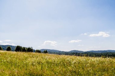 San Nehri 'ndeki Kryve - Bieszczady Dağları' ndaki eski bir köy - 1947 yılında komünist Polonyalı yetkililer tarafından yerlerinden edildi..
