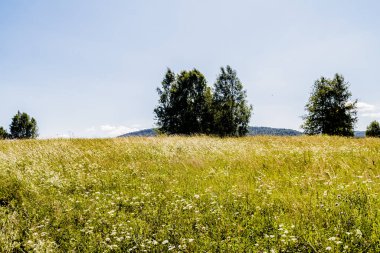 San Nehri 'ndeki Kryve - Bieszczady Dağları' ndaki eski bir köy - 1947 yılında komünist Polonyalı yetkililer tarafından yerlerinden edildi..