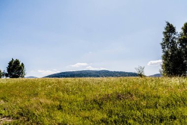 San Nehri 'ndeki Kryve - Bieszczady Dağları' ndaki eski bir köy - 1947 yılında komünist Polonyalı yetkililer tarafından yerlerinden edildi..