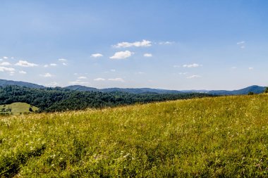 San Nehri 'ndeki Kryve - Bieszczady Dağları' ndaki eski bir köy - 1947 yılında komünist Polonyalı yetkililer tarafından yerlerinden edildi..