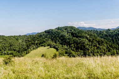 San Nehri 'ndeki Kryve - Bieszczady Dağları' ndaki eski bir köy - 1947 yılında komünist Polonyalı yetkililer tarafından yerlerinden edildi..
