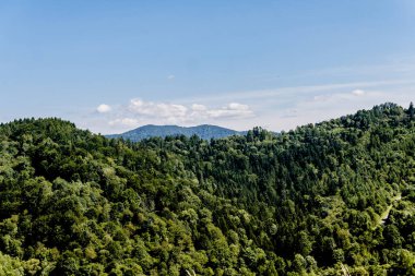 San Nehri 'ndeki Kryve - Bieszczady Dağları' ndaki eski bir köy - 1947 yılında komünist Polonyalı yetkililer tarafından yerlerinden edildi..