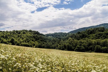 San Nehri 'ndeki Kryve - Bieszczady Dağları' ndaki eski bir köy - 1947 yılında komünist Polonyalı yetkililer tarafından yerlerinden edildi..