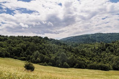 San Nehri 'ndeki Kryve - Bieszczady Dağları' ndaki eski bir köy - 1947 yılında komünist Polonyalı yetkililer tarafından yerlerinden edildi..