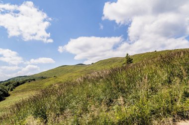 Mieczysaw Orlowicz Geçidi 'nden Polonya' daki Bieszczady Dağları 'ndaki Smerek Tepesine giden yol.