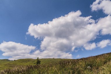 Mieczysaw Orlowicz Geçidi 'nden Polonya' daki Bieszczady Dağları 'ndaki Smerek Tepesine giden yol.