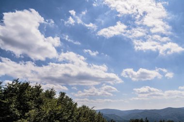 Mieczysaw Orlowicz Geçidi 'nden Polonya' daki Bieszczady Dağları 'ndaki Smerek Tepesine giden yol.