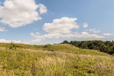 Mieczysaw Orlowicz Geçidi 'nden Polonya' daki Bieszczady Dağları 'ndaki Smerek Tepesine giden yol.