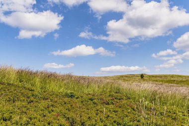 Mieczysaw Orlowicz Geçidi 'nden Polonya' daki Bieszczady Dağları 'ndaki Smerek Tepesine giden yol.