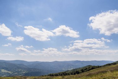 Mieczysaw Orlowicz Geçidi 'nden Polonya' daki Bieszczady Dağları 'ndaki Smerek Tepesine giden yol.