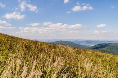 Mieczysaw Orlowicz Geçidi 'nden Polonya' daki Bieszczady Dağları 'ndaki Smerek Tepesine giden yol.